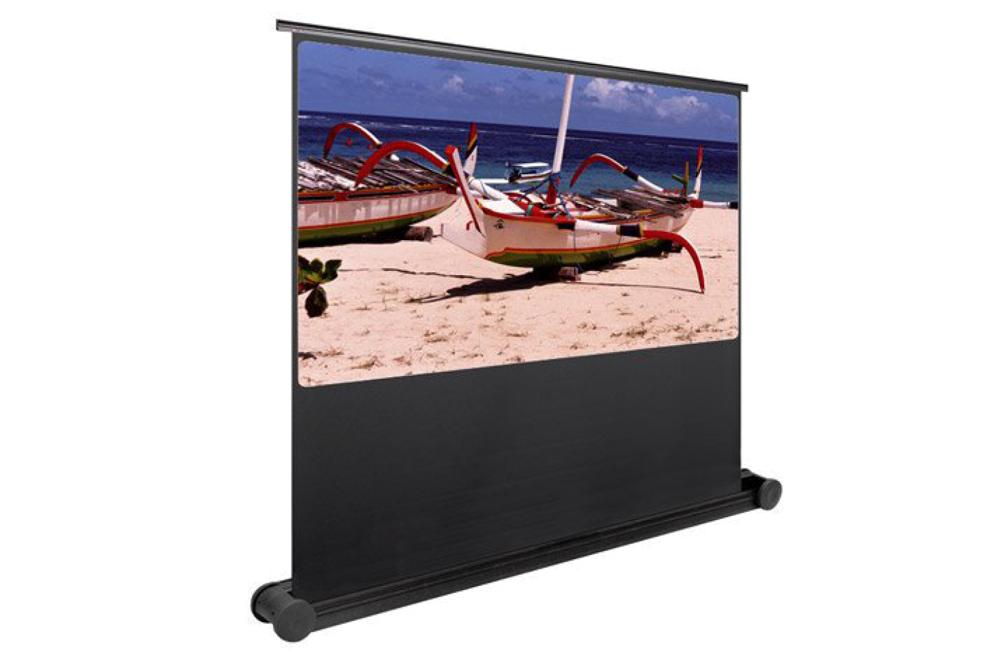 Butterfly Leinwand mieten